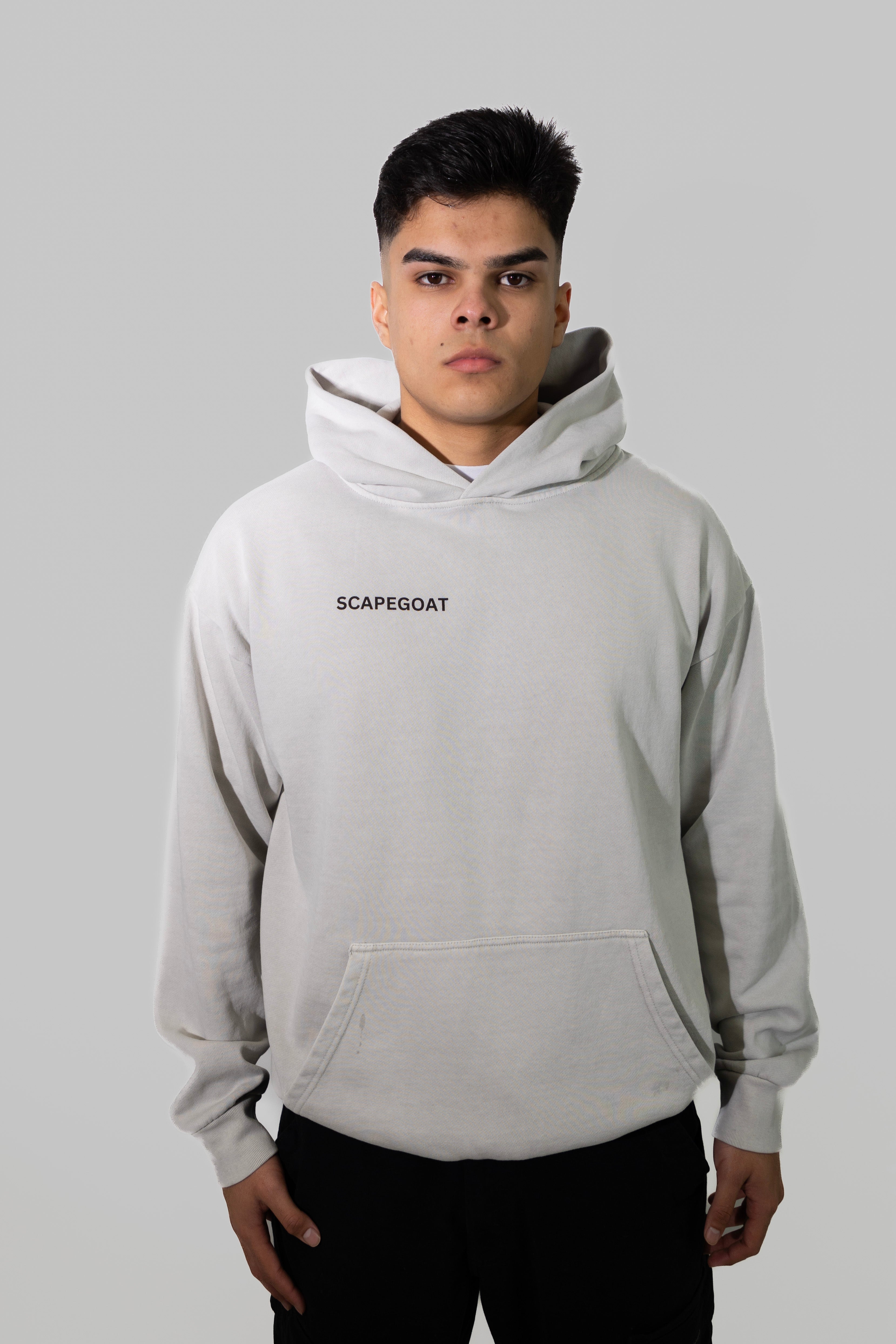 SCAPEGOAT WHY ALWAYS ME LIGHT GRAY HOODIE